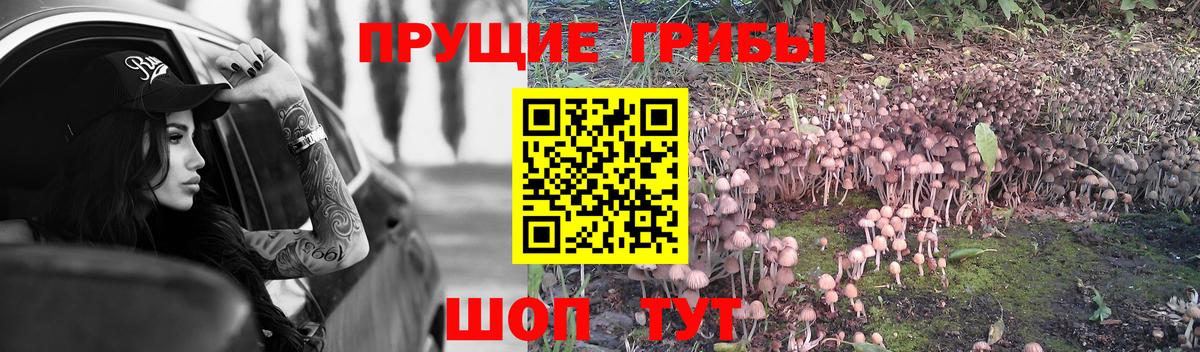 Псилоцибиновые грибы GOLDEN TEACHER  Вход с VPN  Электрогорск 