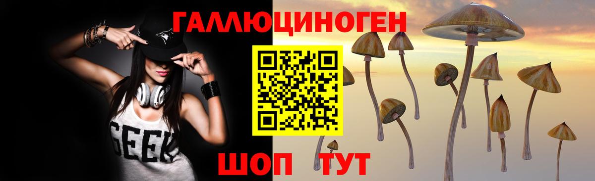 Псилоцибиновые грибы мицелий Электрогорск
